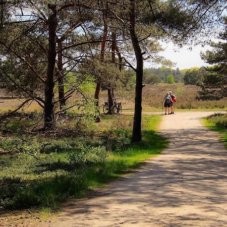Bornerbroek Luxe Woodlodge In Een Prachtige En Bosrijke Omgeving מראה חיצוני תמונה