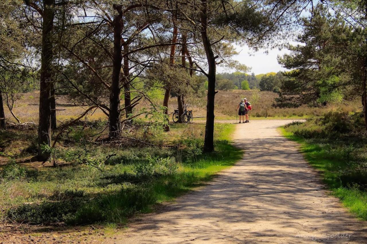 Bornerbroek Luxe Woodlodge In Een Prachtige En Bosrijke Omgeving מראה חיצוני תמונה